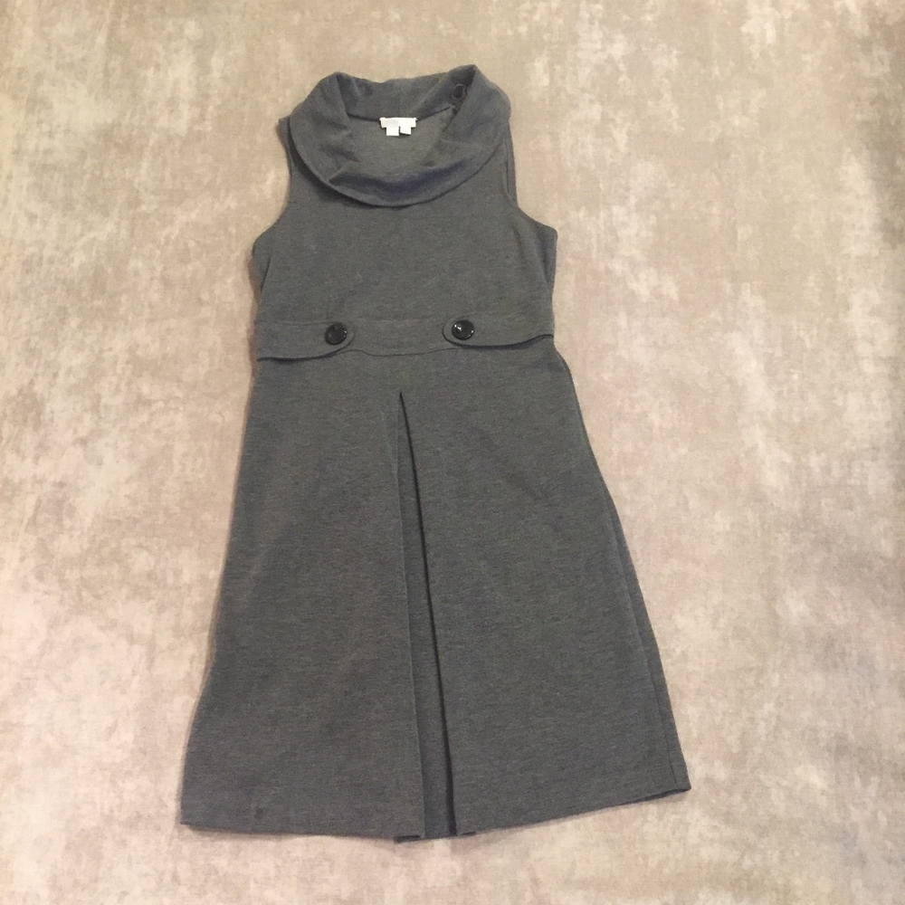 Sleveless, turtleneck fit and flare dress